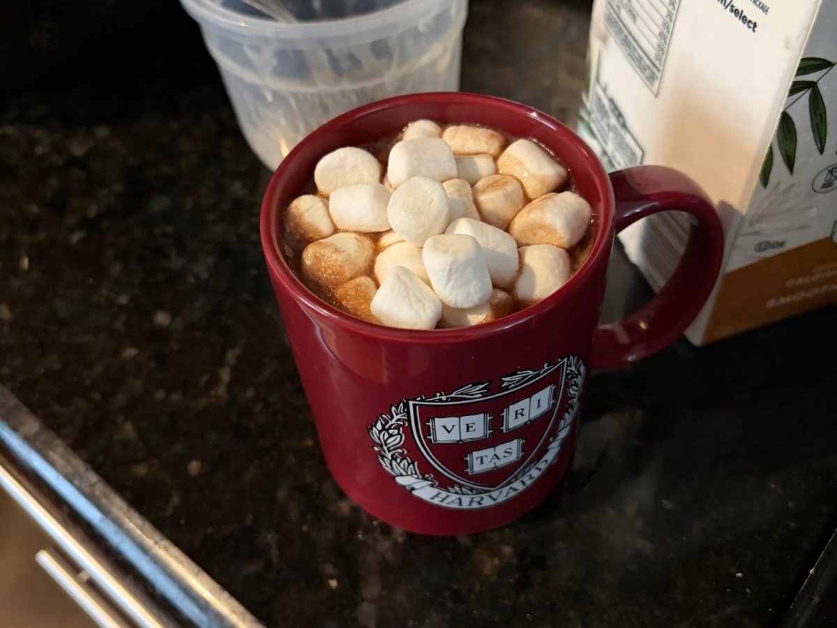 The Mind That Watches&nbsp;Itself